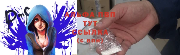 прущие грибы Белоозёрский