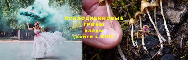 индика Балабаново