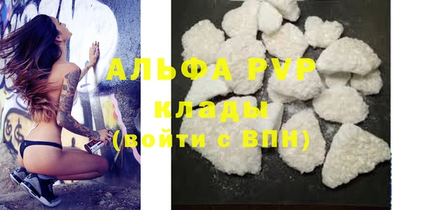прущие грибы Белоозёрский