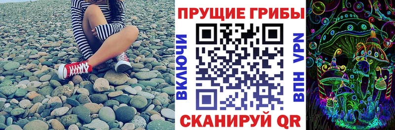 Купить закладки  Крымск  Галлюциногенные грибы Psilocybine cubensis 